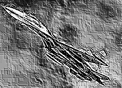 Skamielina