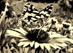 Sepia