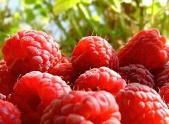 Oryginalny obrazek