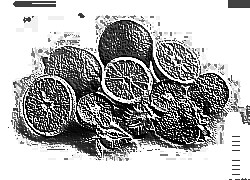 Skamielina