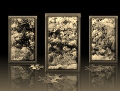 Szary + Sepia