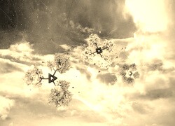 Szary + Sepia