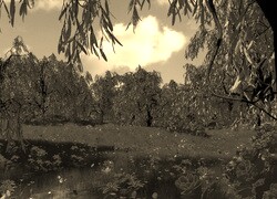 Sepia