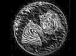 Skamielina