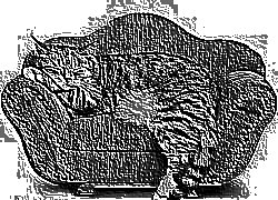 Skamielina