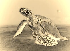 Sepia + Negatyw