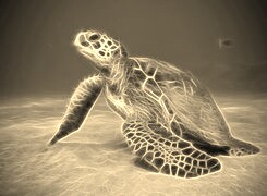 Szary + Sepia