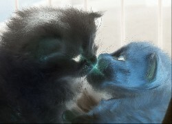 Negatyw