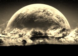 Szary + Sepia