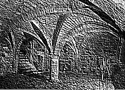 Skamielina