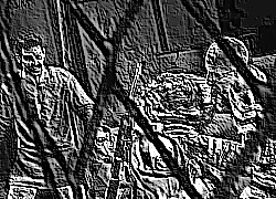 Skamielina