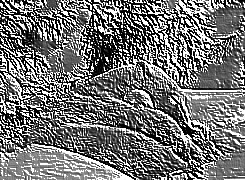 Skamielina