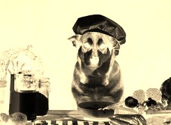 Sepia + Negatyw