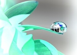 Negatyw