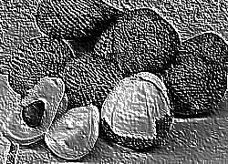 Skamielina