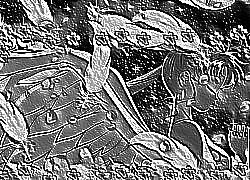 Skamielina