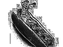 Skamielina