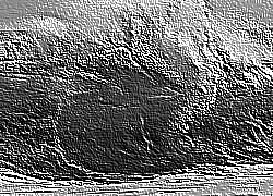 Skamielina
