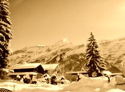 Sepia