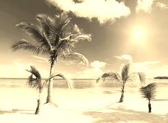 Szary + Sepia