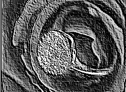 Skamielina