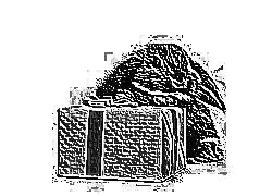 Skamielina