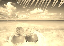 Szary + Sepia