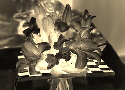 Sepia + Negatyw
