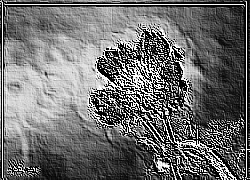 Skamielina