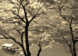 Szary + Sepia