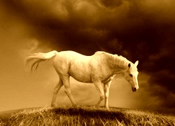 Sepia