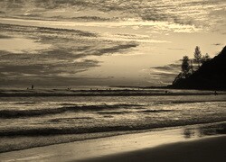 Szary + Sepia