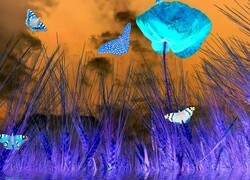 Negatyw