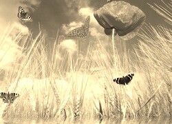 Szary + Sepia