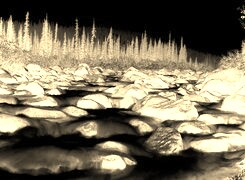 Sepia + Negatyw