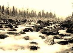 Sepia