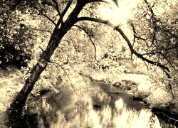 Sepia