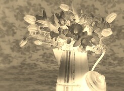 Sepia + Negatyw