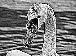 Skamielina