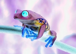 Negatyw