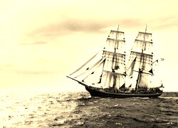 Szary + Sepia