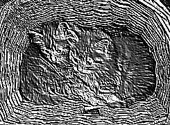 Skamielina