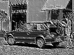 Skamielina