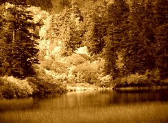 Sepia