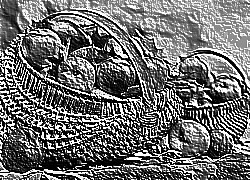 Skamielina