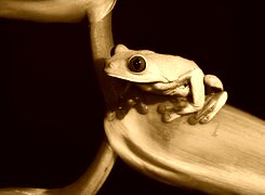 Sepia