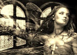 Szary + Sepia