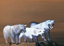 Negatyw