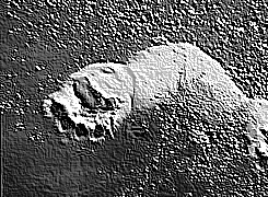 Skamielina