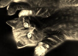 Sepia + Negatyw